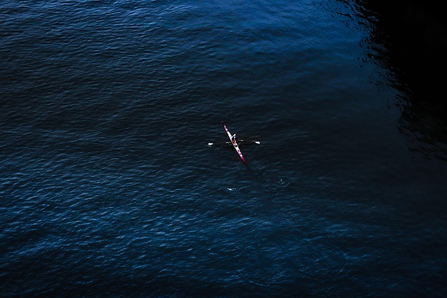 Free Boat Rowing photo and picture