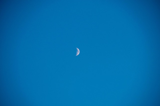 Free Blue Luna photo and picture