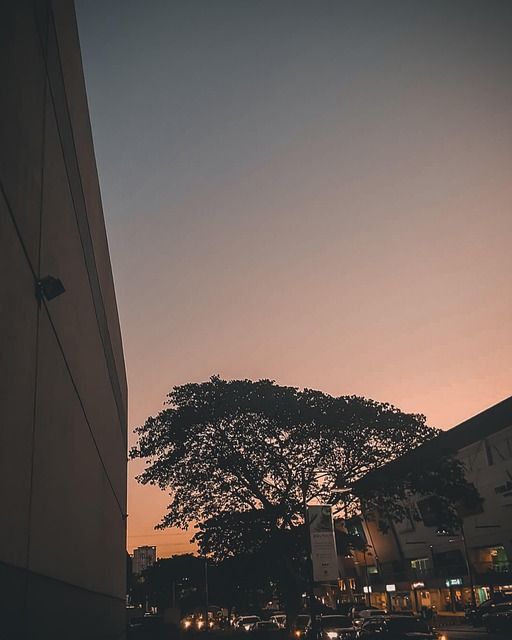 Free City View City Cinematic photo and picture