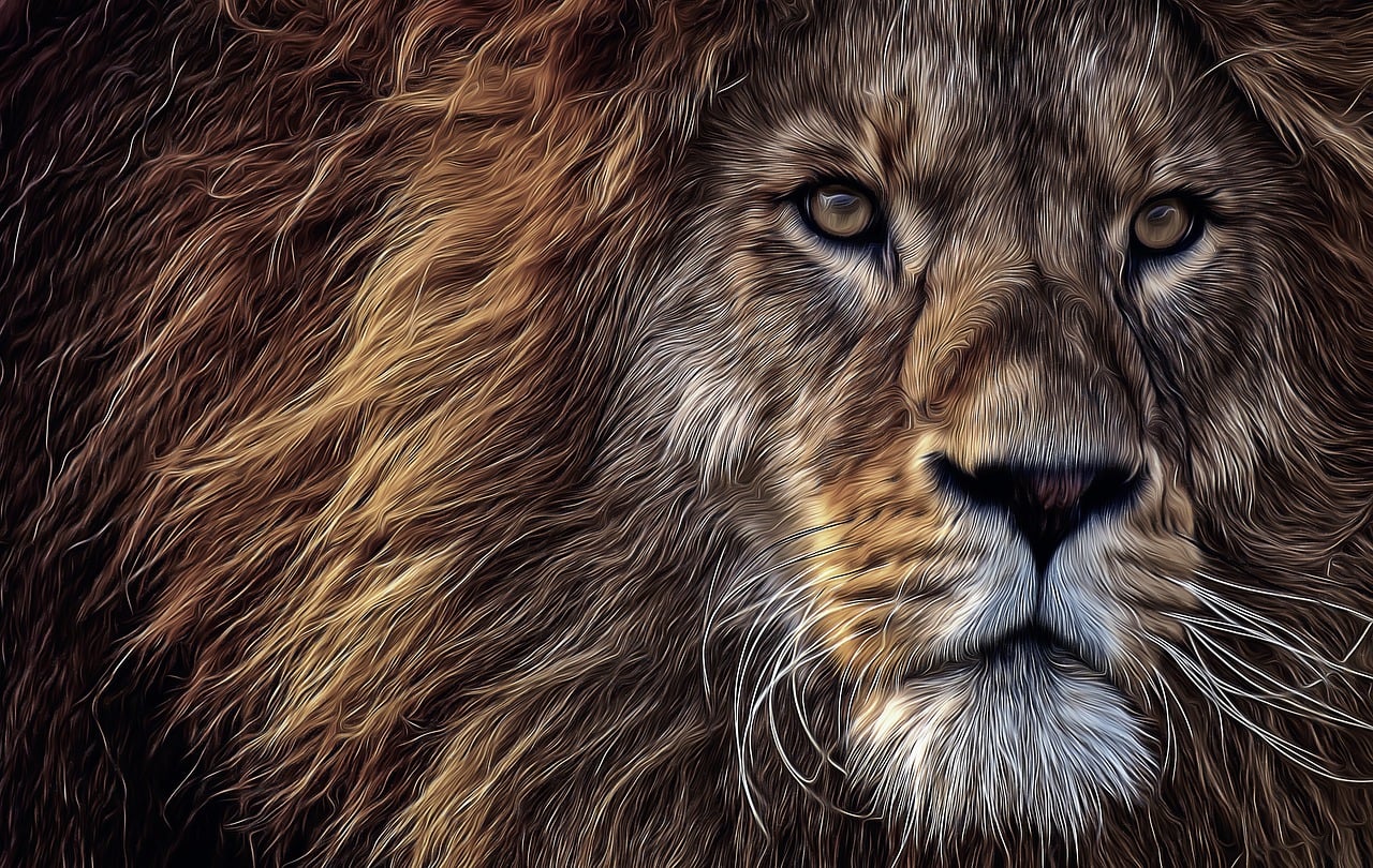10000 多张免费的“Animated Lion”和“狮子”插图 - Pixabay