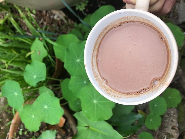 Hot Chocolate Drink Warm - Free photo on Pixabay - Pixabay