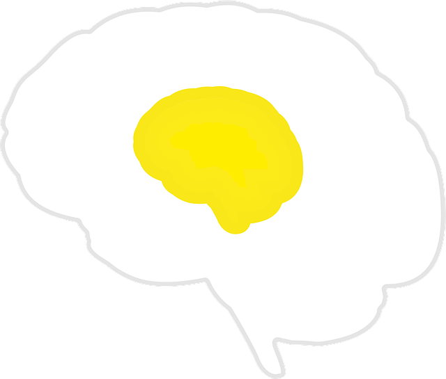 Free Brain Egg vector and picture