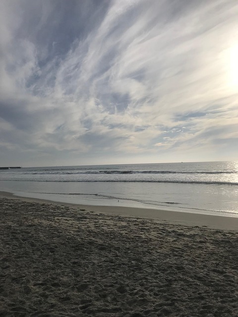 Free Beach Ocean photo and picture
