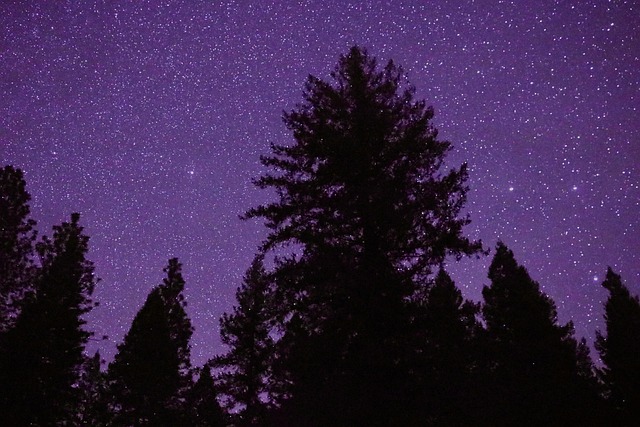 Free Long Exposure Exposure photo and picture