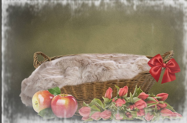 Free baby backdrop background newborn illustration