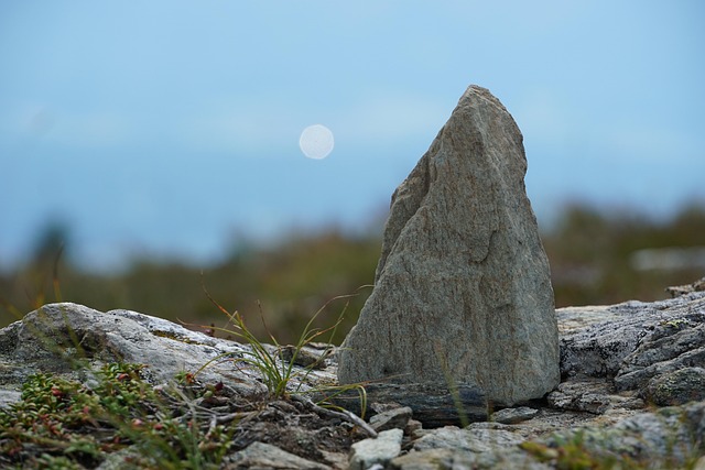 Free Stone Rock photo and picture