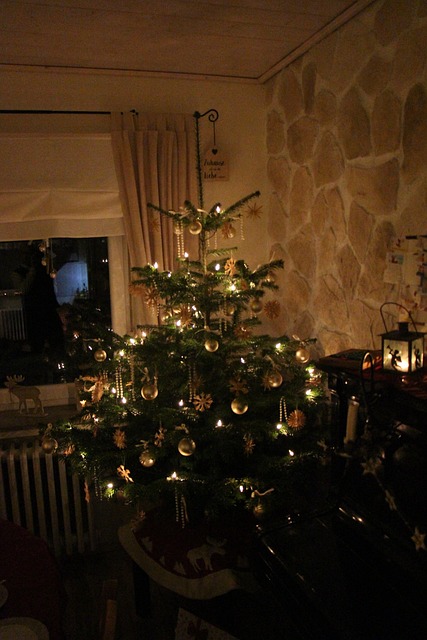 Free Christmas Tree Tree photo and picture