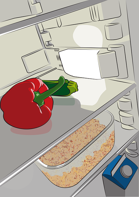 Free Fridge Pepper vector and picture
