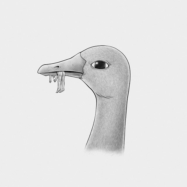 Free duck food surreal illustration