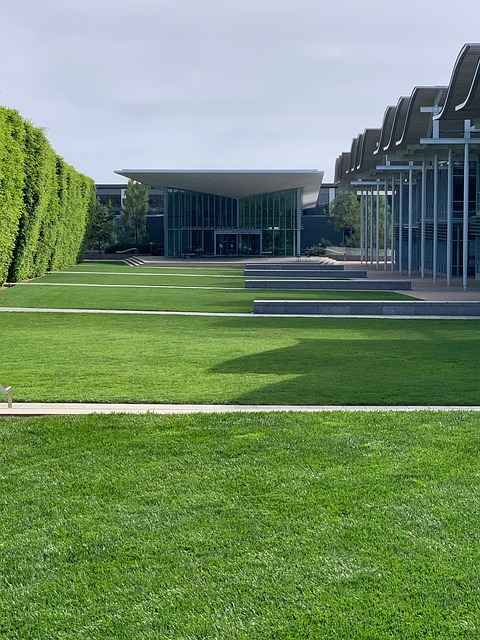 Free Library Newport Beach photo and picture