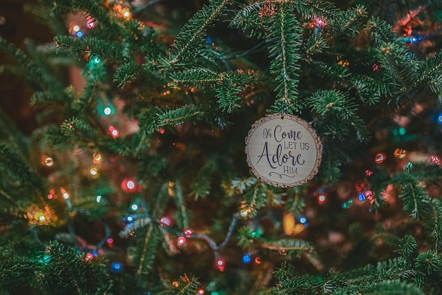 Free Ornament Lights photo and picture