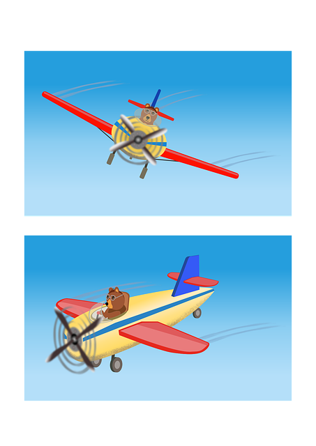 Free Plane Air vector and picture