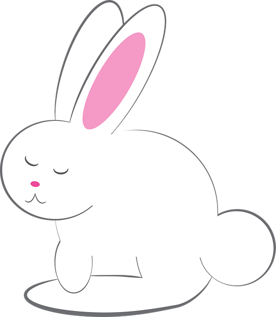 Free Rabbit Bunny vector and picture