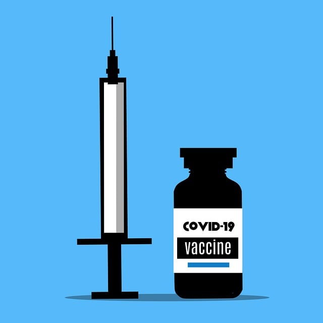 Free covid-19 vaccine syringe vector