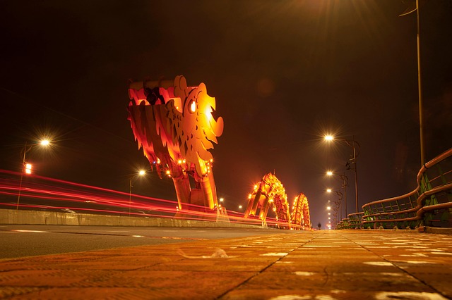Free Night Dragon photo and picture