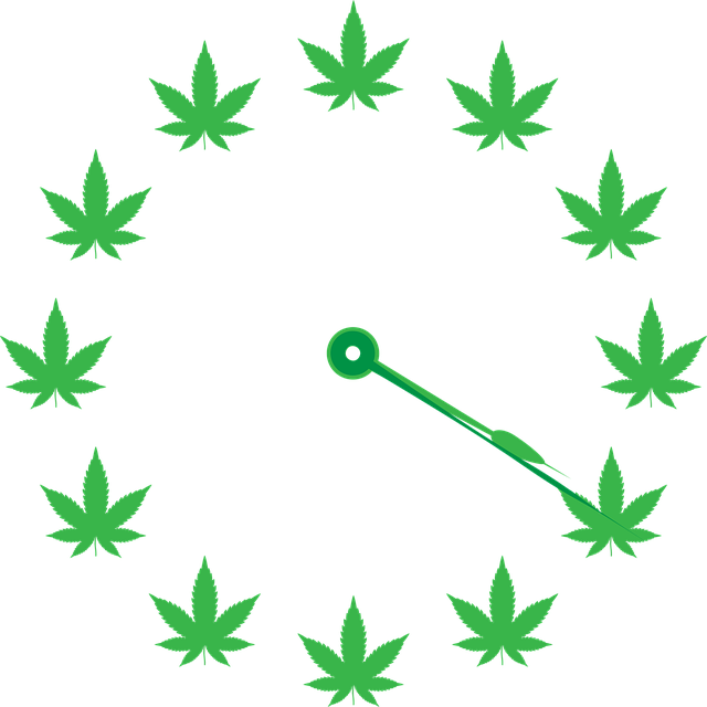 Free clock time pot vector