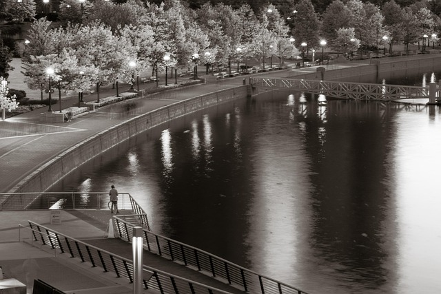 Free Street Photography Vancouver photo and picture