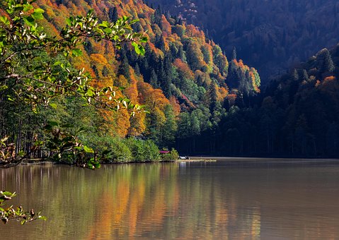 See, Herbst, Bäume, Blätter, Laub