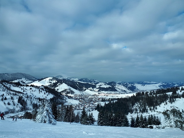 Gyimes Natureza Inverno - Foto gratuita no Pixabay - Pixabay