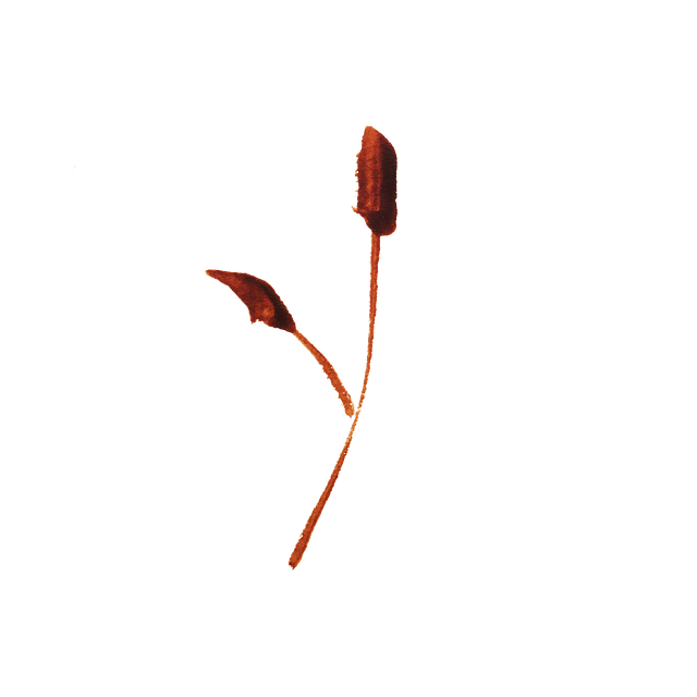 Flower, Leaf, Graphic, Watercolor