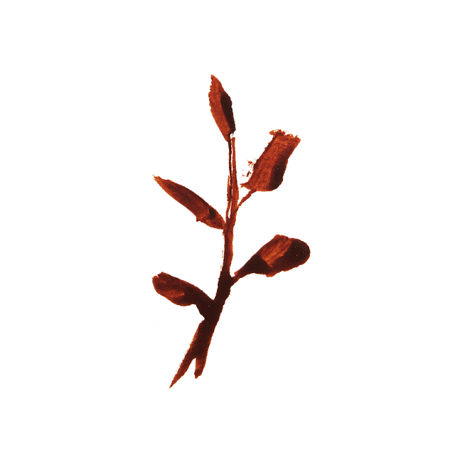 Flower, Leaf, Graphic, Watercolor