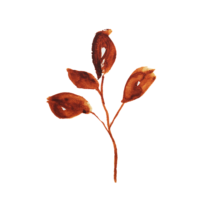 Flower, Leaf, Graphic, Watercolor