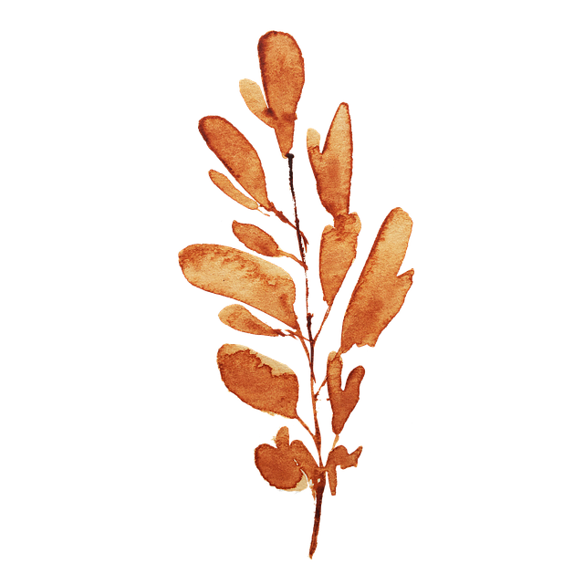 Flower, Leaf, Graphic, Watercolor