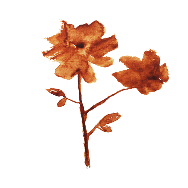 Flower, Leaf, Graphic, Watercolor