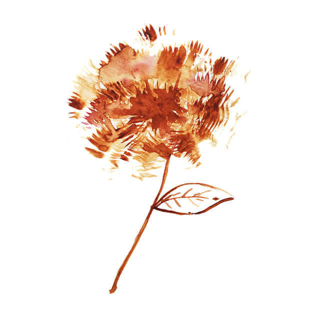 Flower, Leaf, Graphic, Watercolor