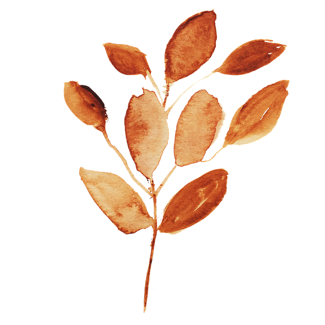 Flower, Leaf, Graphic, Watercolor
