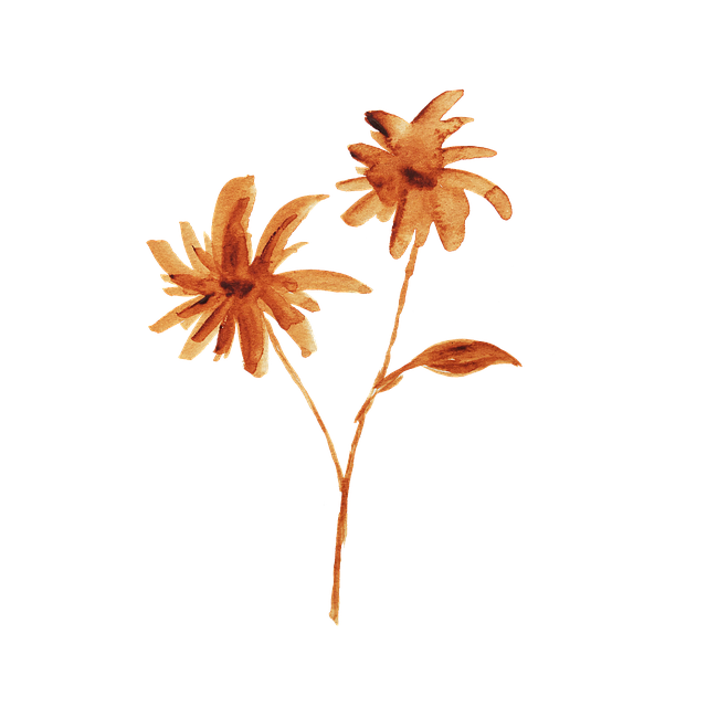 Flower, Leaf, Graphic, Watercolor