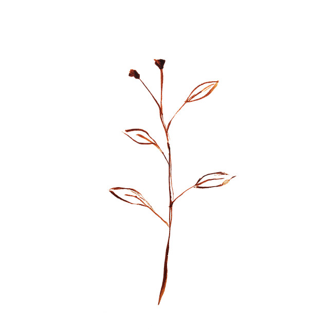 Flower, Leaf, Graphic, Watercolor