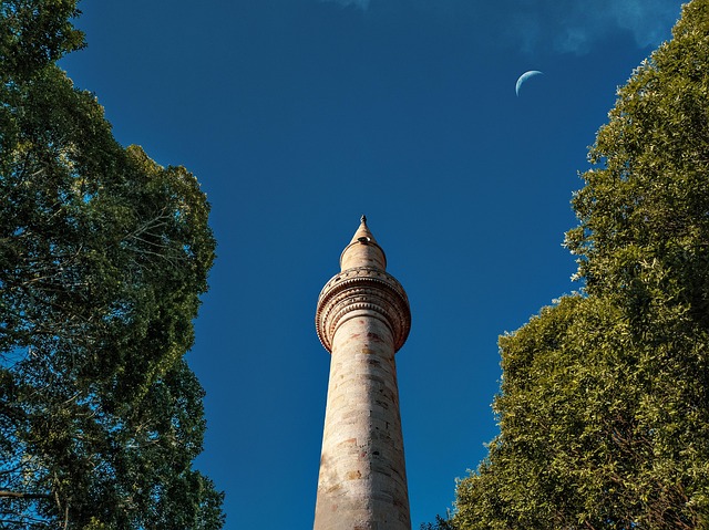 Free Sky Tower photo and picture