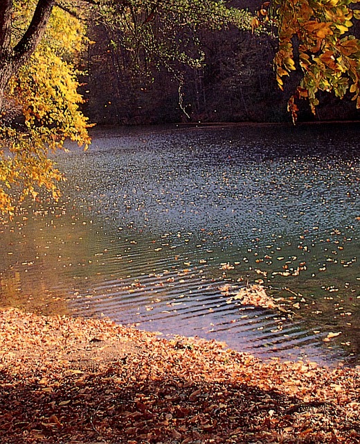 Manzara, Doğa, Su