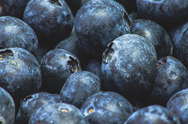 Free Ingredients Blueberry photo and picture