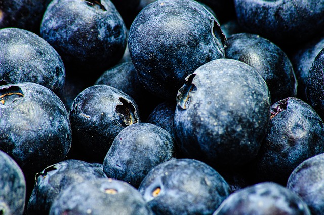 Free Ingredients Blueberry photo and picture