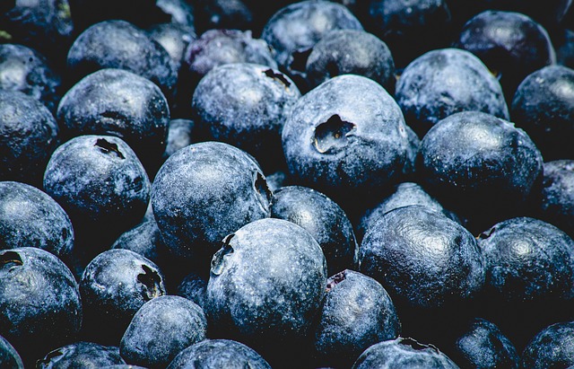 Free Ingredients Blueberry photo and picture