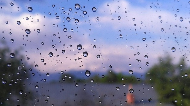 Free Drops Window photo and picture