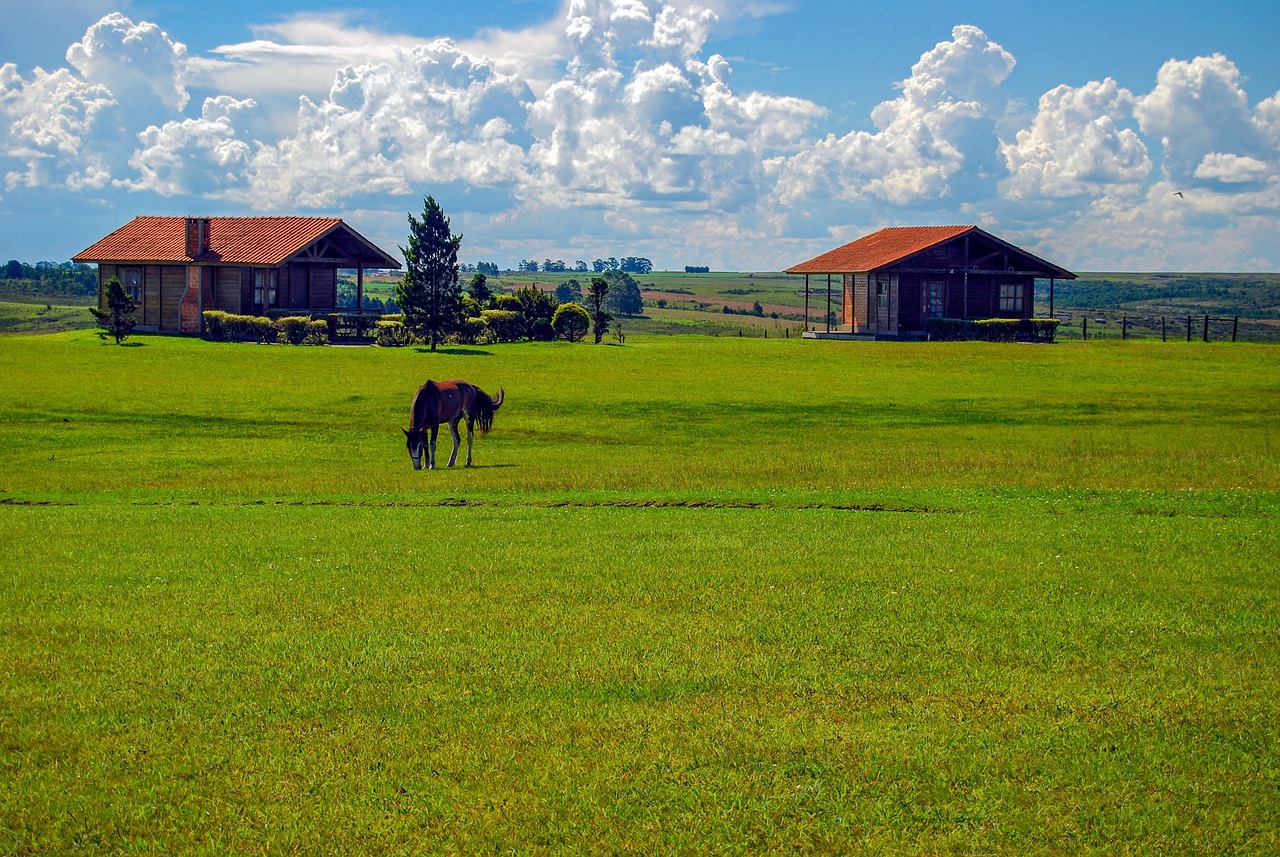 Mais de 70 imagens grátis de Brasil Fazendas e Minas Gerais - Pixabay