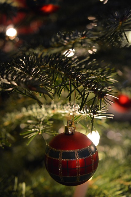 Jul, Juletre, Kort, Hilsen, Julkula