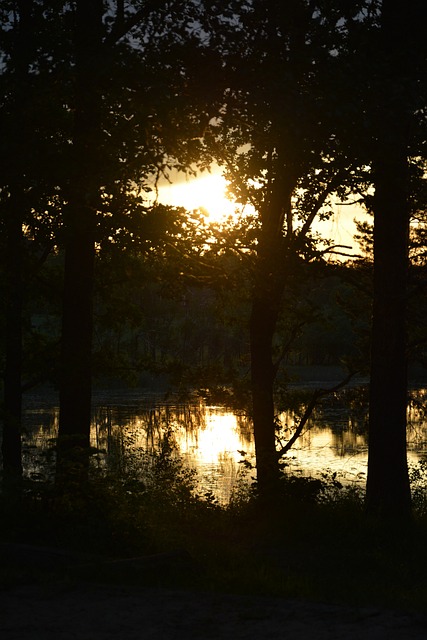 Solnedgang, Innsjø, Trær, Speilbilde