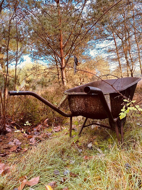 Trillebør, Skov, Lp, Tabt Sted, Rust
