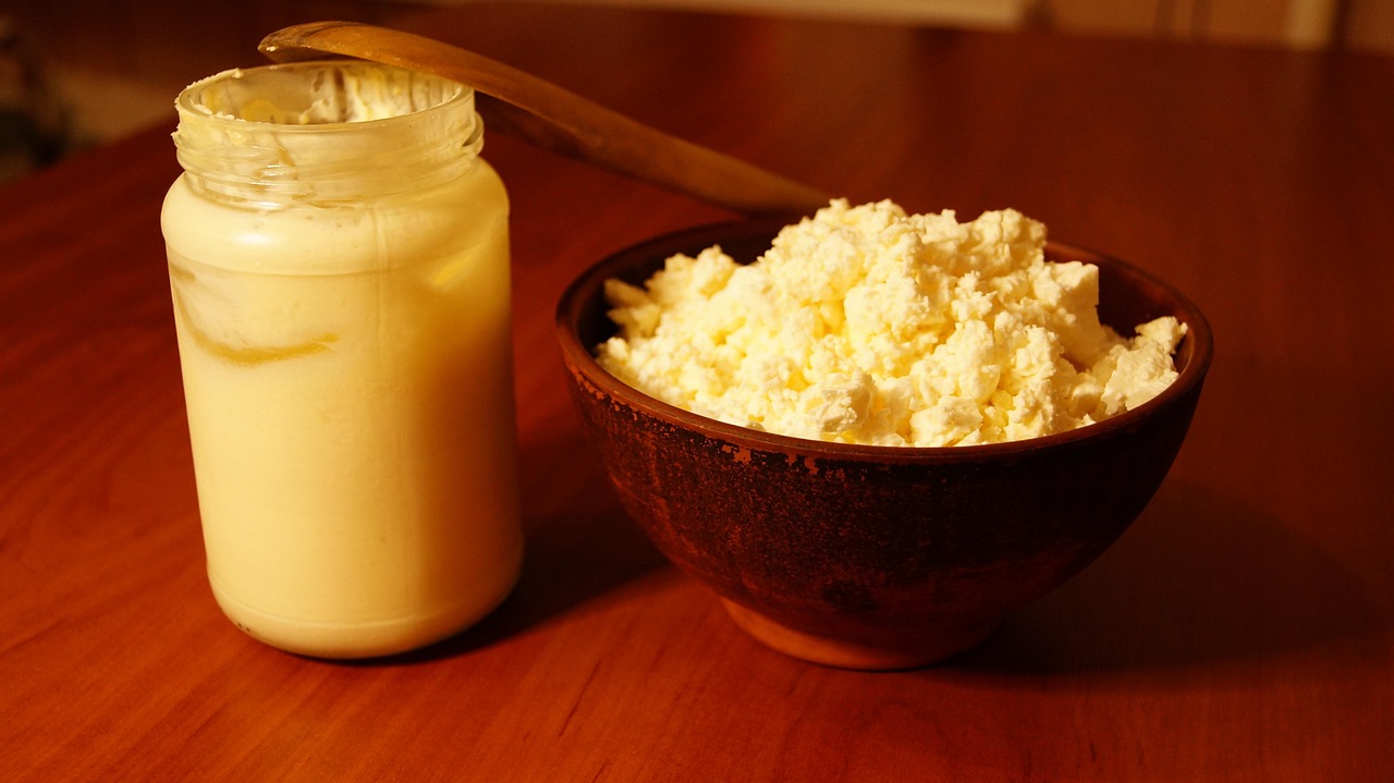Cottage Cheese Sour Cream Food Free photo on Pixabay Pixabay