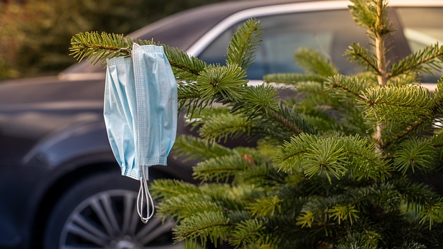 Free Face Masks Tree photo and picture