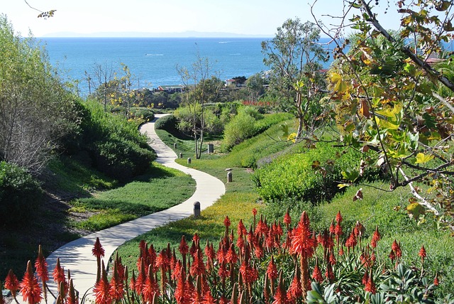 Free Ocean View photo and picture