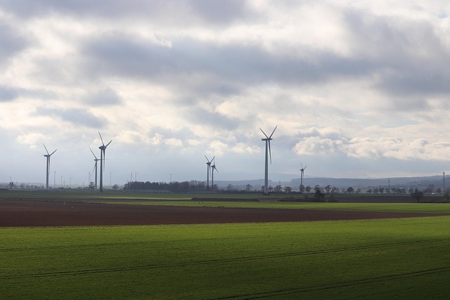 Free Wind Turbines Field photo and picture