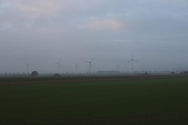 Free Wind Turbine Morning photo and picture