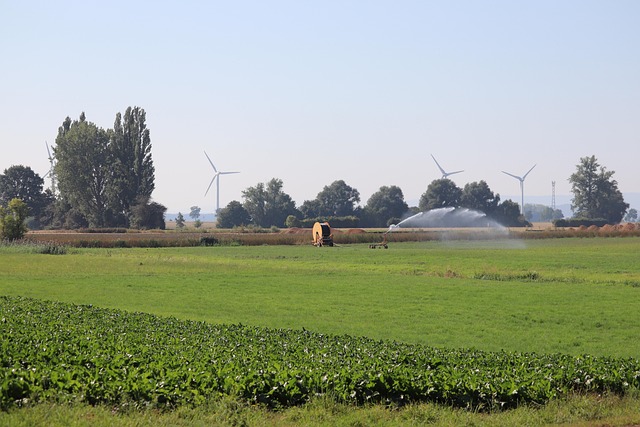 Free Agriculture Summer photo and picture