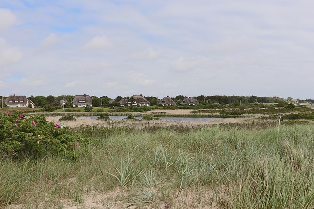 Free Houses Buildings photo and picture