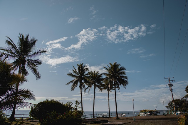 Free Beach Person photo and picture